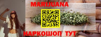 гашик Кингисепп