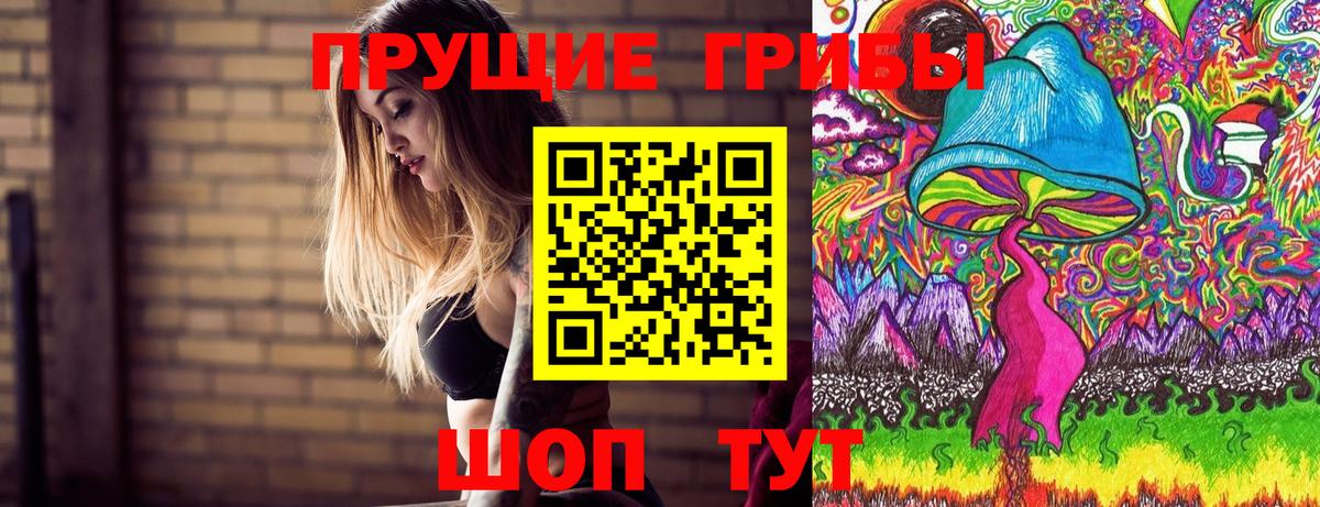 Псилоцибиновые грибы GOLDEN TEACHER  Псилоцибиновые грибы мухоморы  Вход с VPN  Россия 
