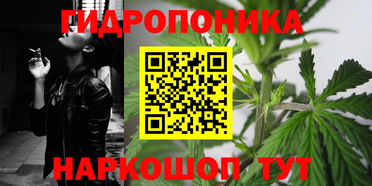 Бошки Шишки план Россия